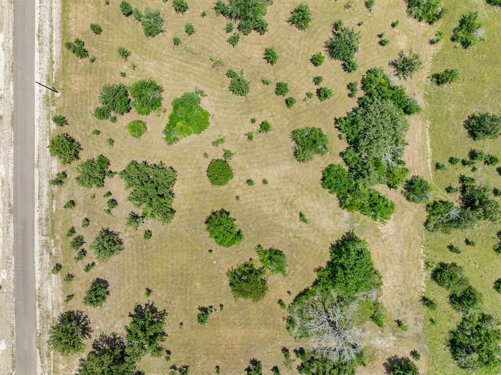 6748 Atakapan Trail, Bedias, Texas image 5