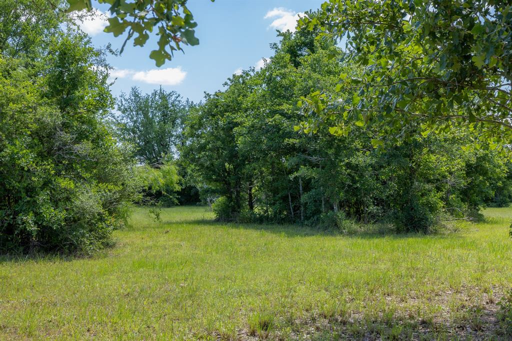 6748 Atakapan Trail, Bedias, Texas image 4