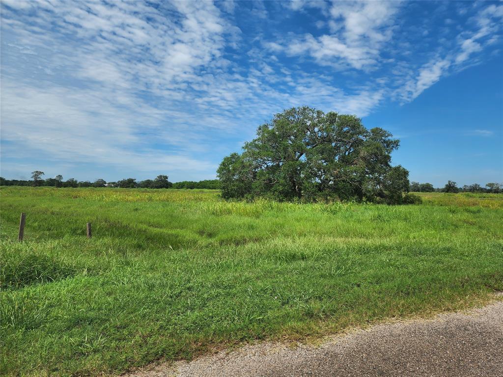 16410 Majestic Oaks Drive, Rosharon, Texas image 4