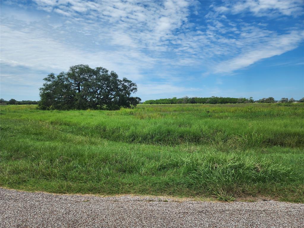 16410 Majestic Oaks Drive, Rosharon, Texas image 8