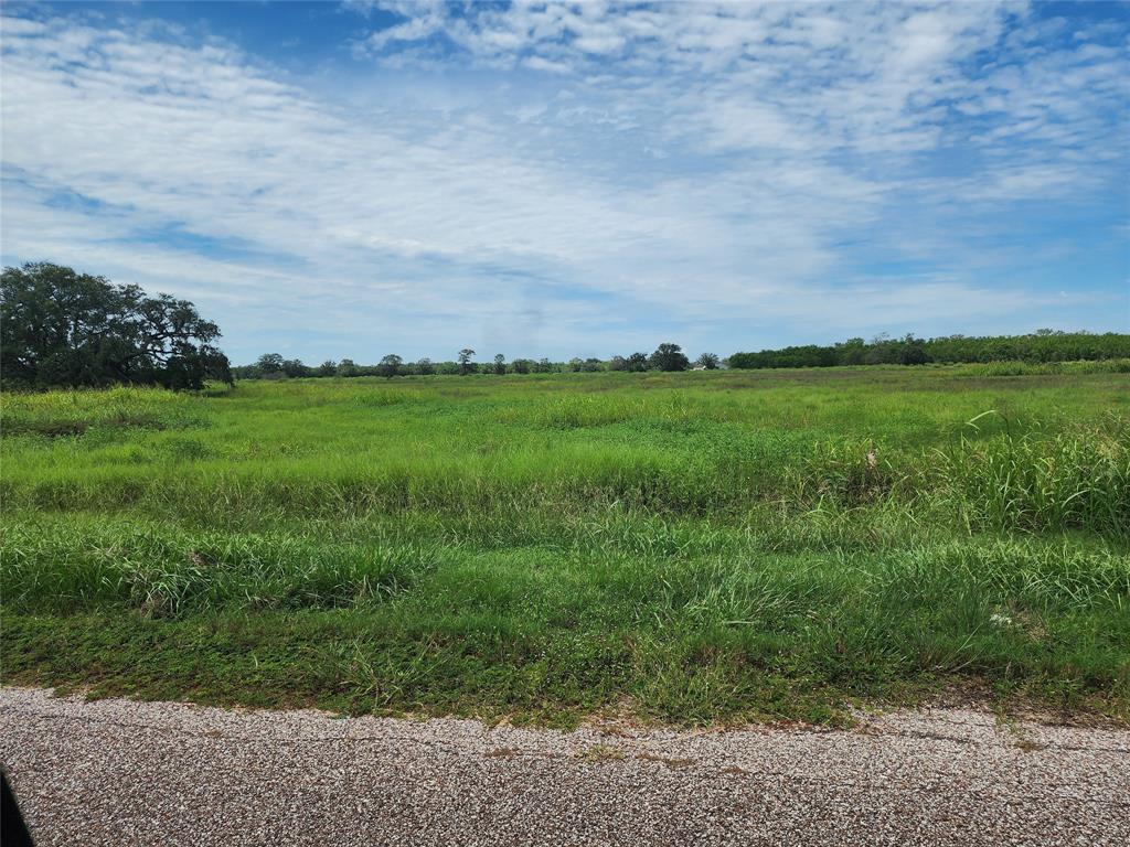 16410 Majestic Oaks Drive, Rosharon, Texas image 7