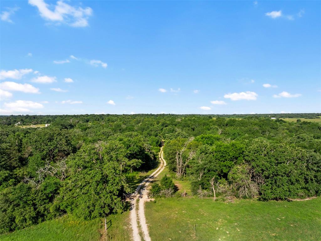 TBD Little Mississippi Cemetery Road, Franklin, Texas image 34