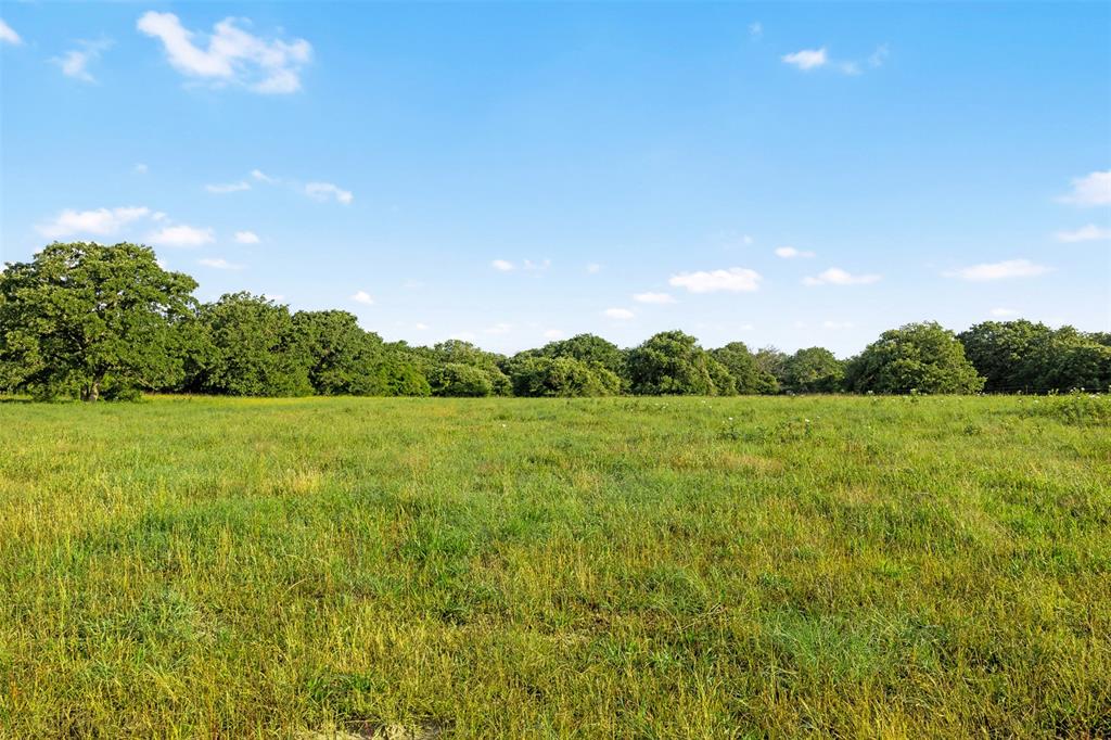 TBD Little Mississippi Cemetery Road, Franklin, Texas image 15