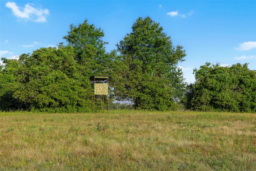 TBD Little Mississippi Cemetery Road, Franklin, Texas image 7