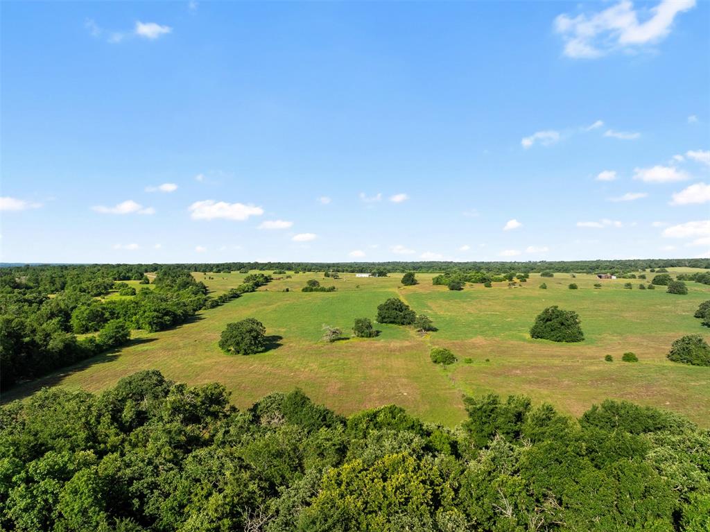 TBD Little Mississippi Cemetery Road, Franklin, Texas image 31