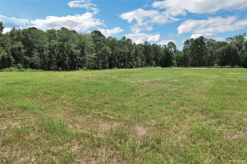 Allen Dr, Conroe, Texas image 3