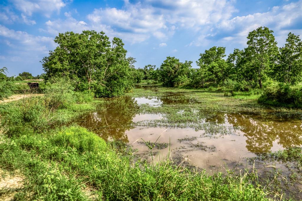 30 Schmidt Road, Waller, Texas image 9