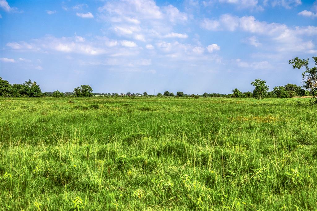 30 Schmidt Road, Waller, Texas image 7