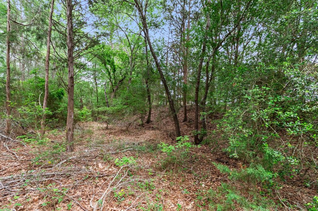 1411 Vogelsang Road, Columbus, Texas image 36