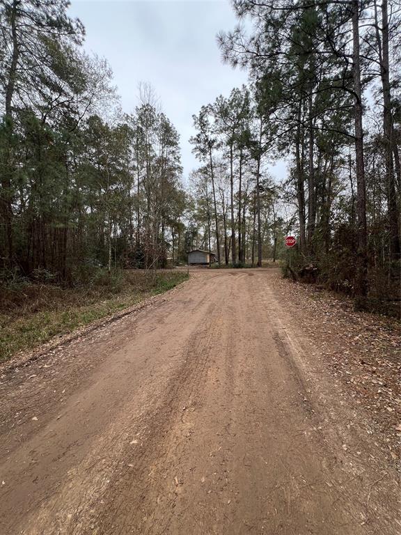 19181 Huntingshire, New Caney, Texas image 1