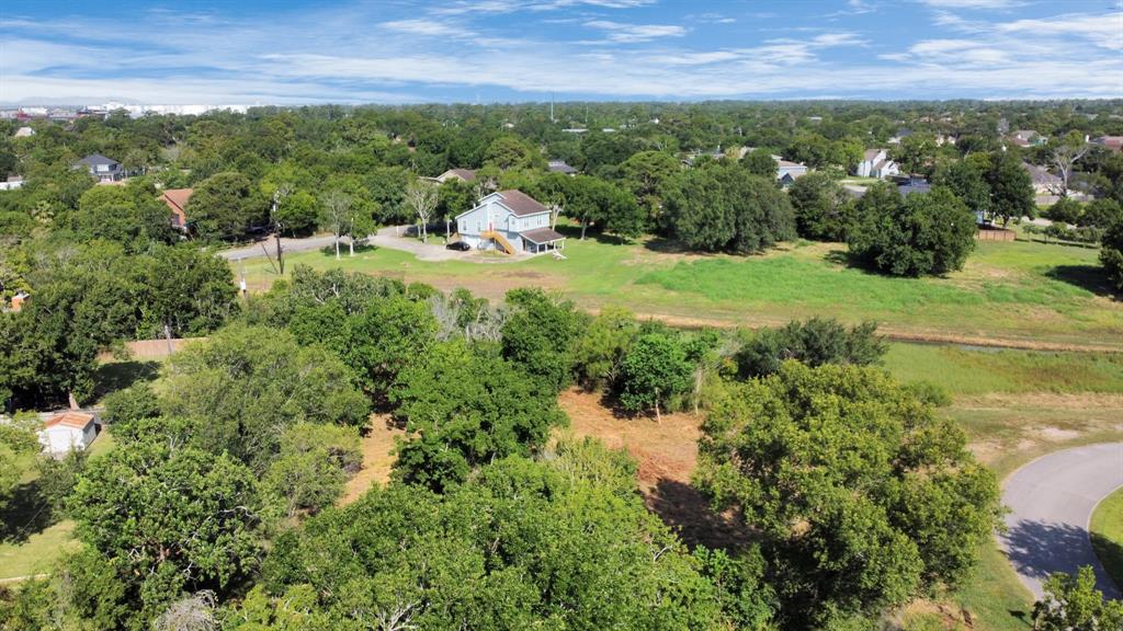 Shadylawn Avenue, La Porte, Texas image 17