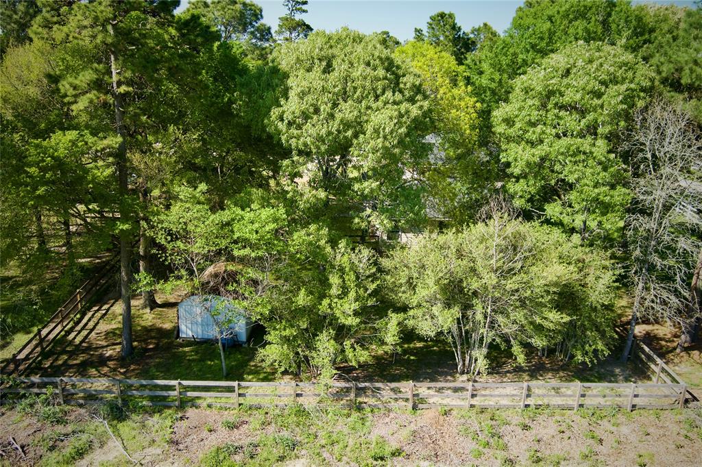 25401 Hunting Trail, Magnolia, Texas image 44