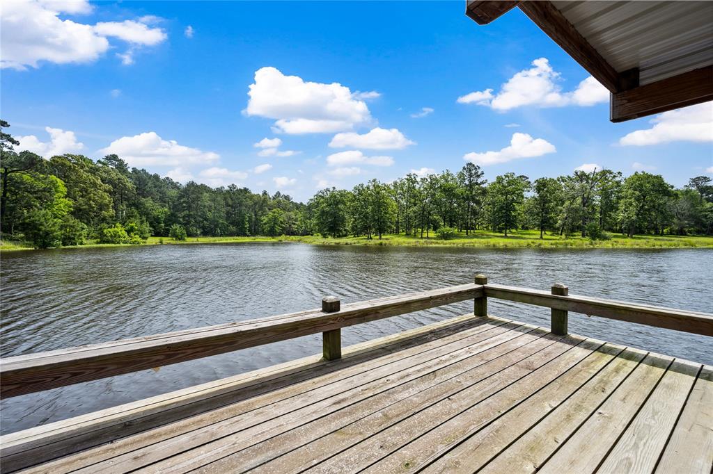 202 Burning Tree Road, Trinity, Texas image 4