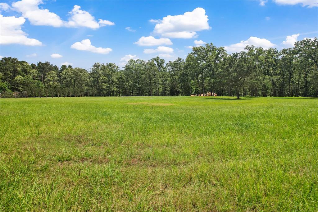 202 Burning Tree Road, Trinity, Texas image 46