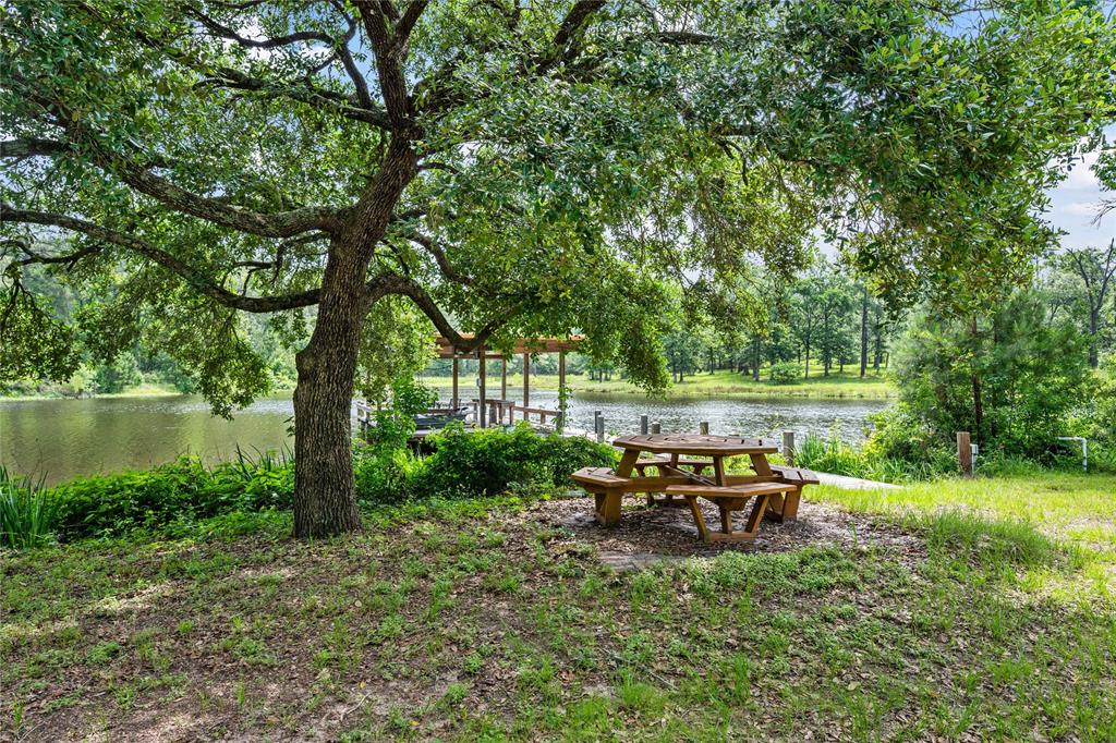202 Burning Tree Road, Trinity, Texas image 3