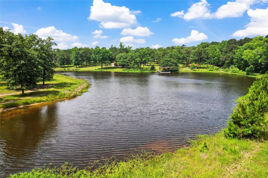 202 Burning Tree Road, Trinity, Texas image 35
