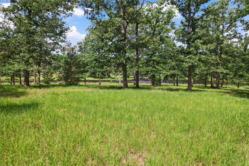 202 Burning Tree Road, Trinity, Texas image 5