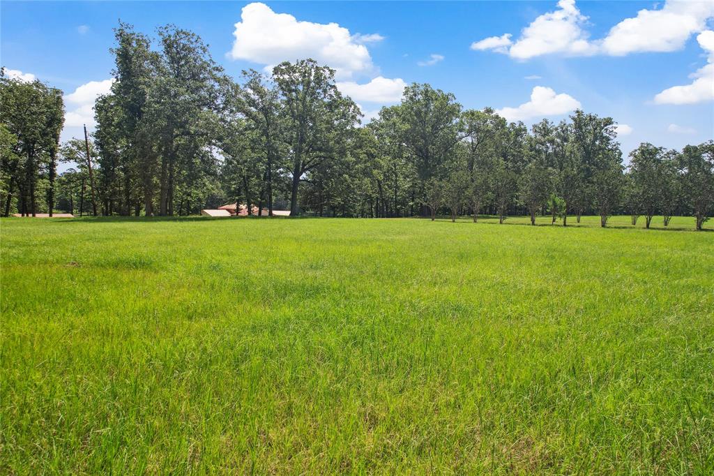 202 Burning Tree Road, Trinity, Texas image 45