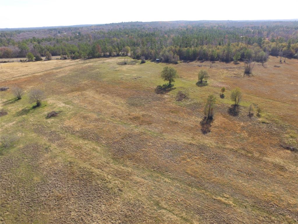 13.14 Acres Tract 4 Tbd Percy Howard Road, Huntsville, Texas image 4