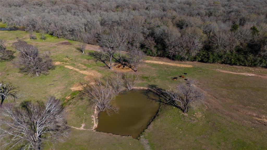 5379 Brown Lane, Madisonville, Texas image 36