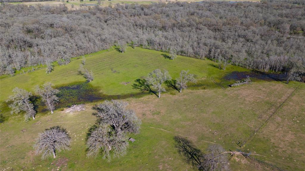5379 Brown Lane, Madisonville, Texas image 32