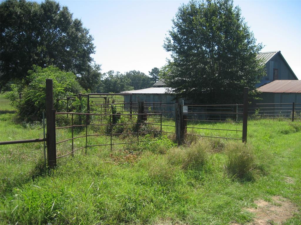 11361 State Highway 21, Crockett, Texas image 6
