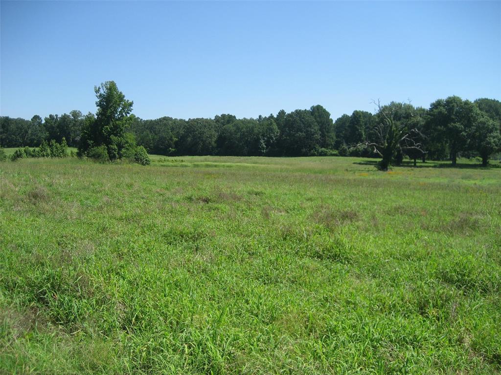 11361 State Highway 21, Crockett, Texas image 29