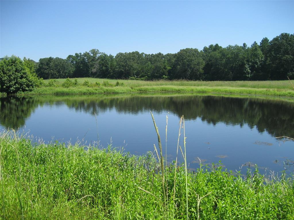 11361 State Highway 21, Crockett, Texas image 24