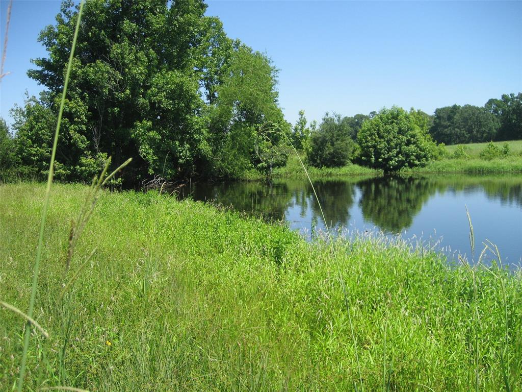 11361 State Highway 21, Crockett, Texas image 25