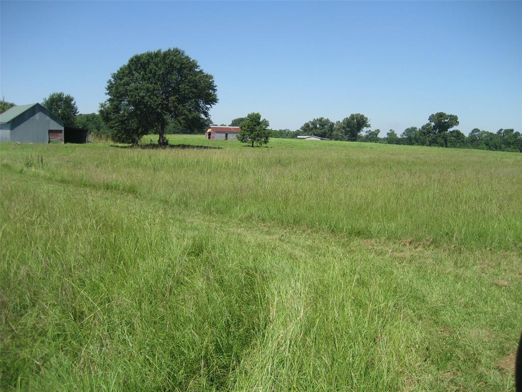 11361 State Highway 21, Crockett, Texas image 21