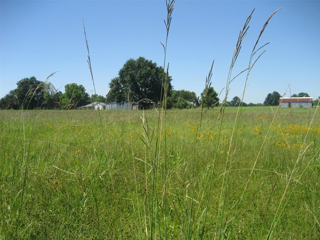 11361 State Highway 21, Crockett, Texas image 28