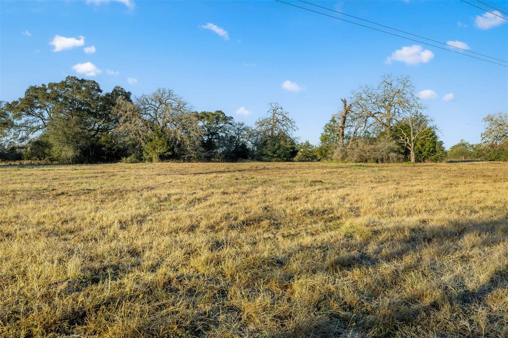 1038 County Road 207 Road, Weimar, Texas image 8