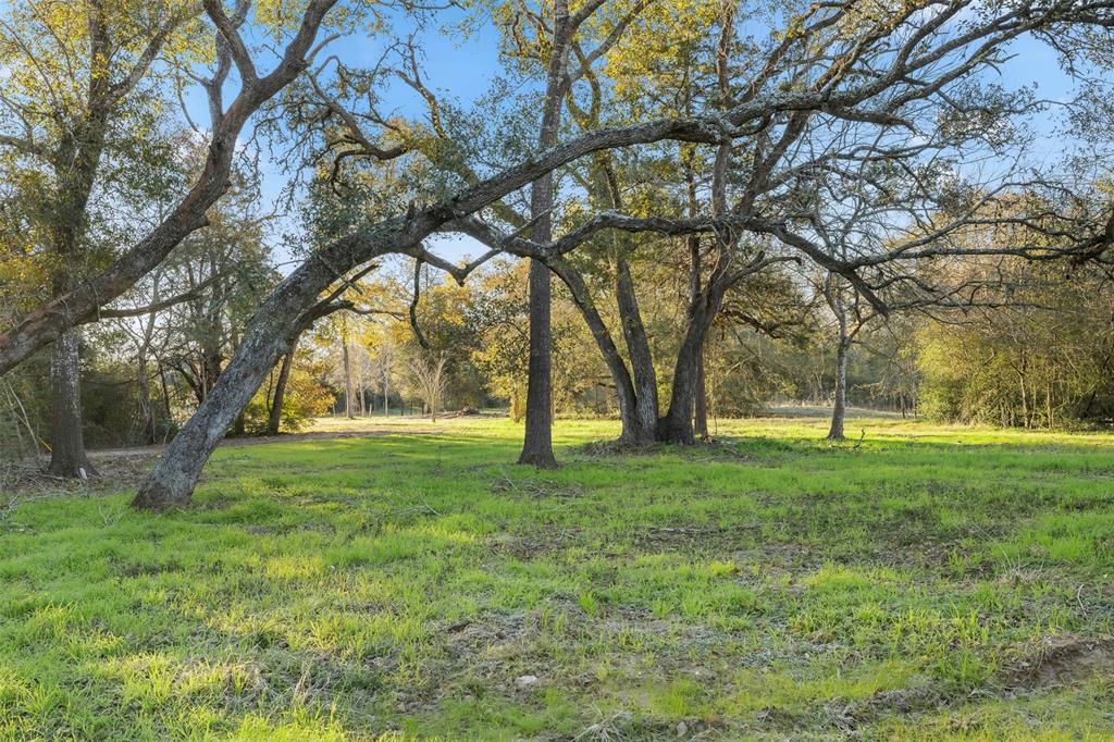 1038 County Road 207 Road, Weimar, Texas image 3