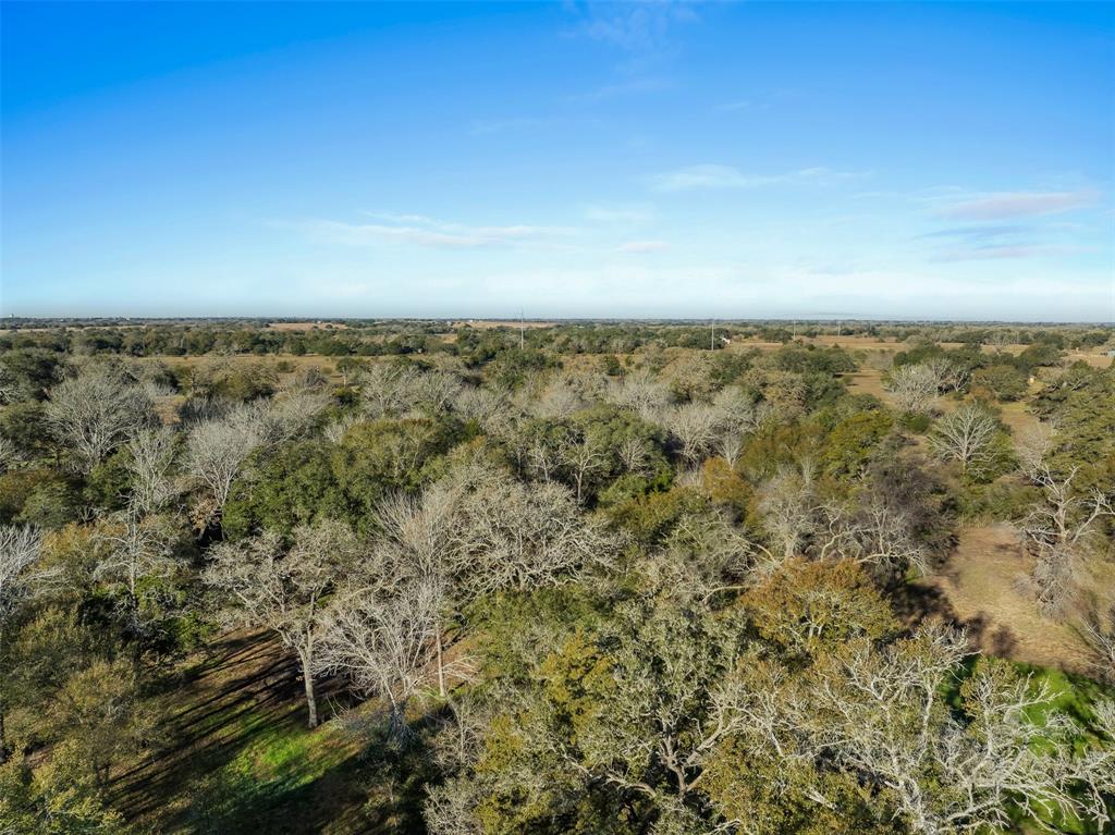 1038 County Road 207 Road, Weimar, Texas image 17