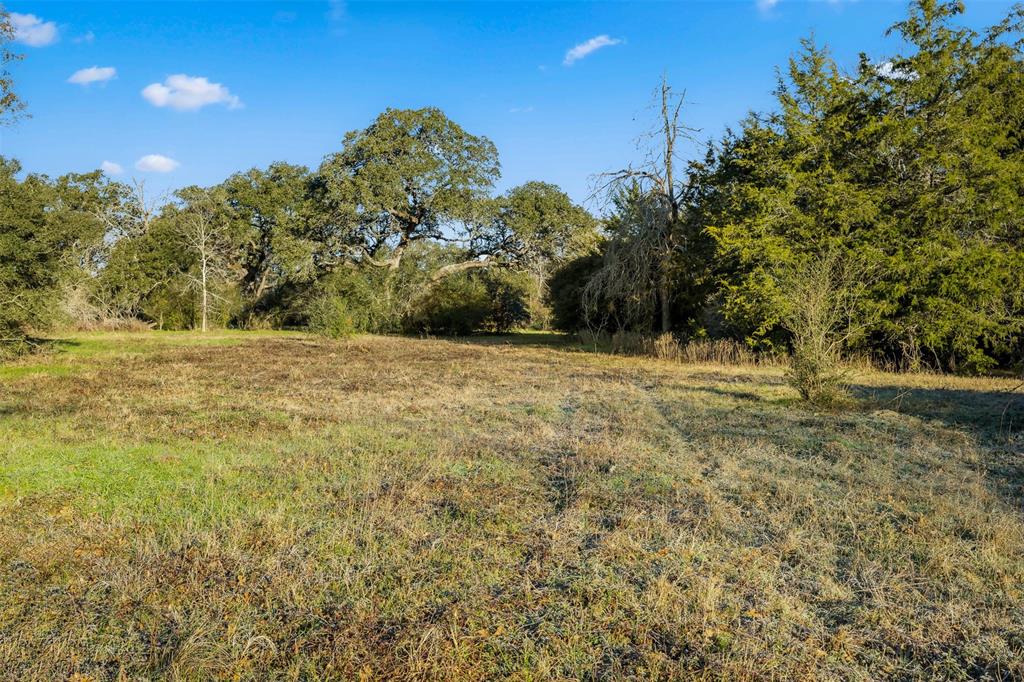 1038 County Road 207 Road, Weimar, Texas image 7