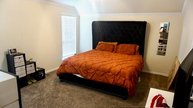 11417 Hackmatack Way, Houston, Texas image 20