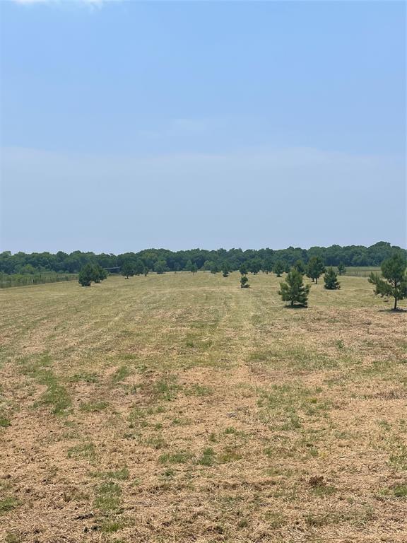 22465 Ramsey Road, Huffman, Texas image 2