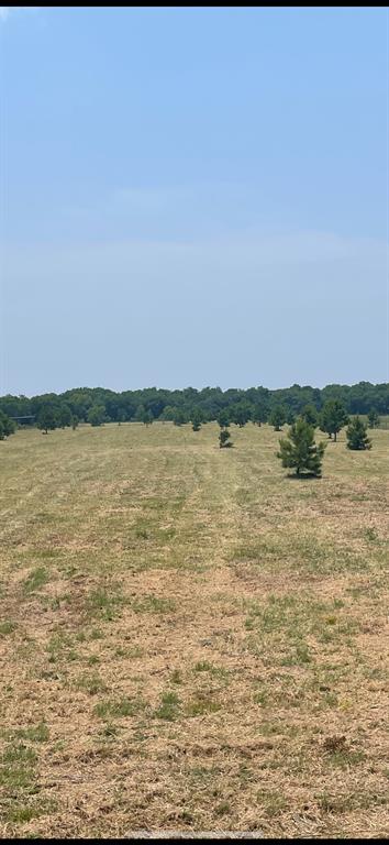 22465 Ramsey Road, Huffman, Texas image 3