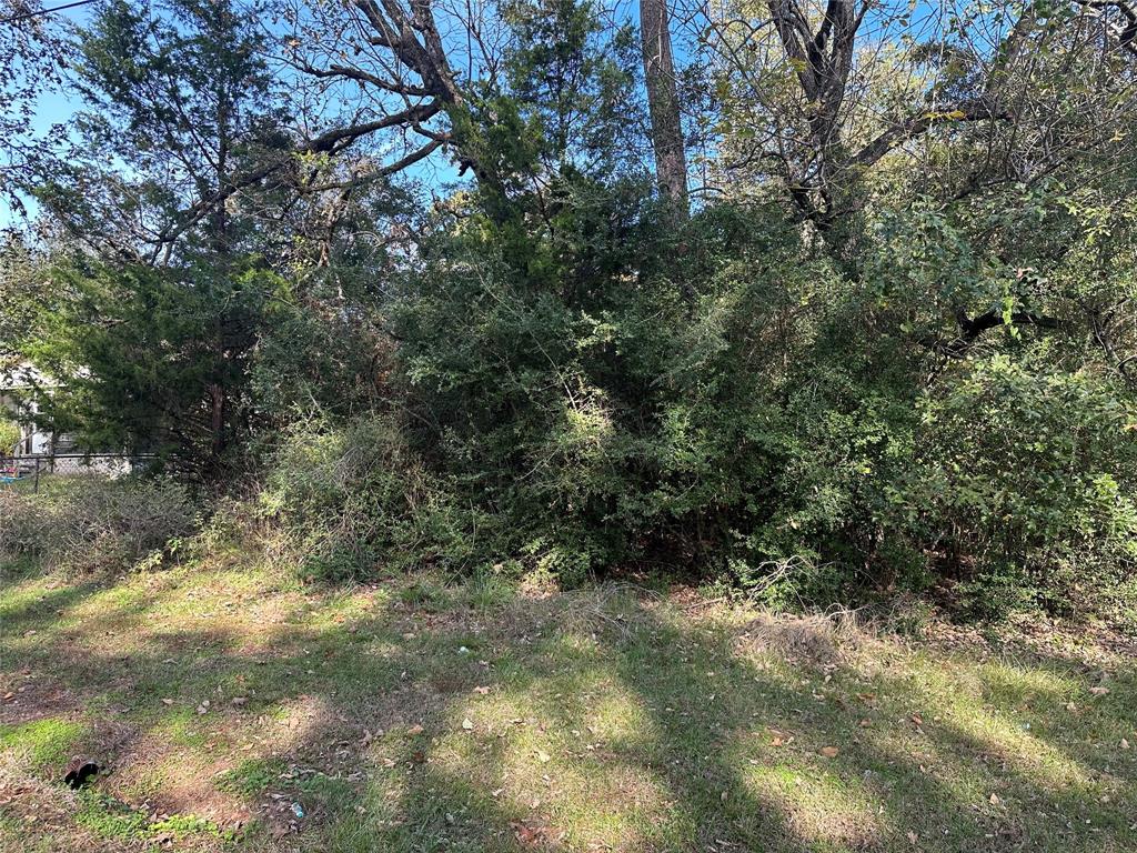 TBD Sequoia Lane, Onalaska, Texas image 6