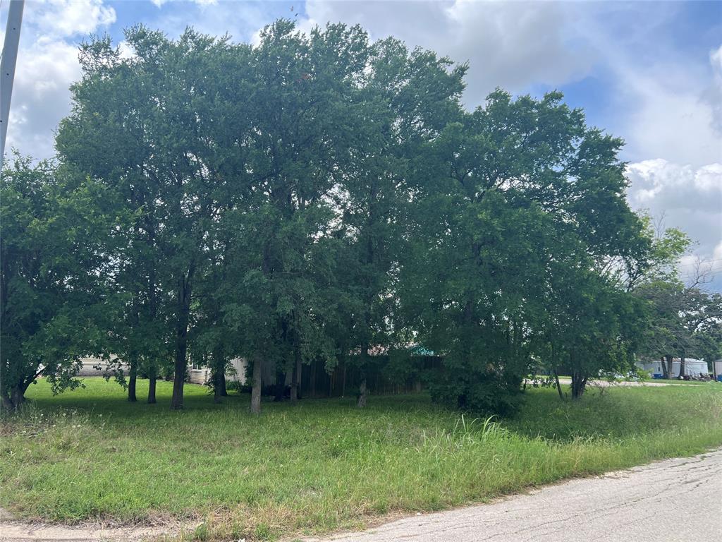 701 W Virginia Street, Navasota, Texas image 6