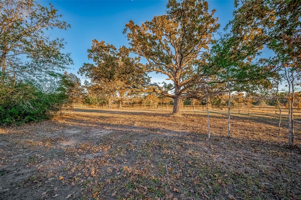 6702 Atakapan Trail, Bedias, Texas image 46