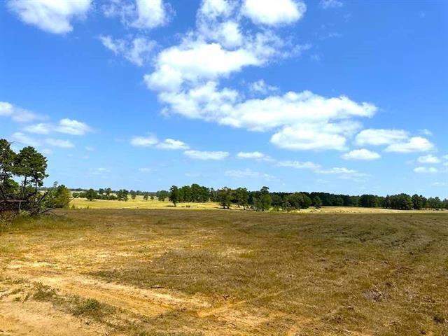 TBD Lakeland Loop Lot 84, Hillister, Texas image 6