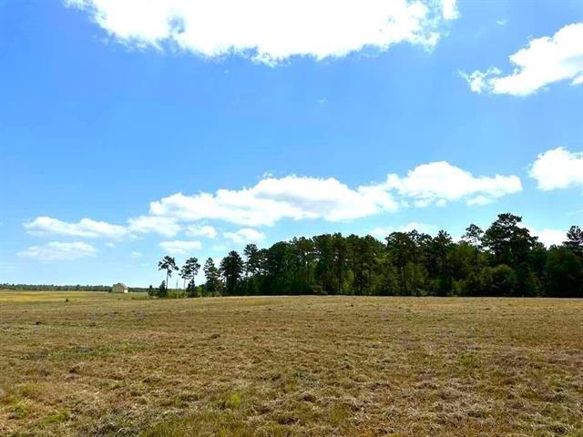 TBD Lakeland Loop Lot 84, Hillister, Texas image 4