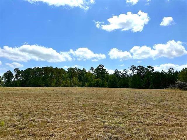 TBD Lakeland Loop Lot 84, Hillister, Texas image 2