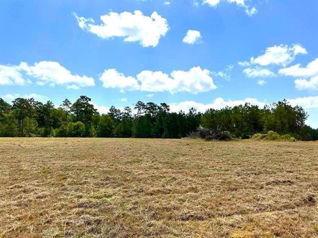 TBD Lakeland Loop Lot 84, Hillister, Texas image 8