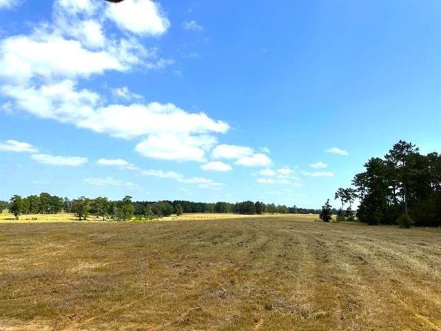 TBD Lakeland Loop Lot 84, Hillister, Texas image 5