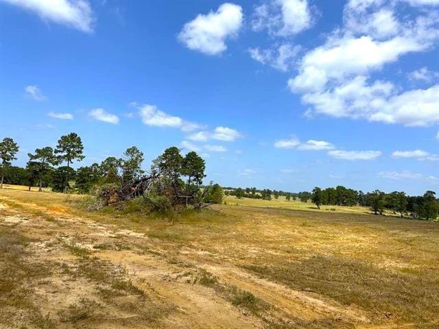 TBD Lakeland Loop Lot 84, Hillister, Texas image 7