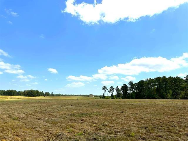 TBD Lakeland Loop Lot 84, Hillister, Texas image 9