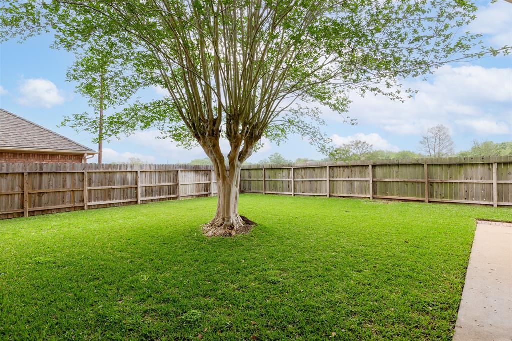 16811 Colony Terrace Drive, Sugar Land, Texas image 4