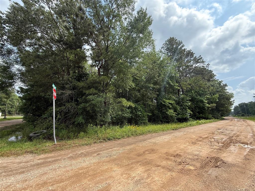 19169 Kings Row, New Caney, Texas image 5